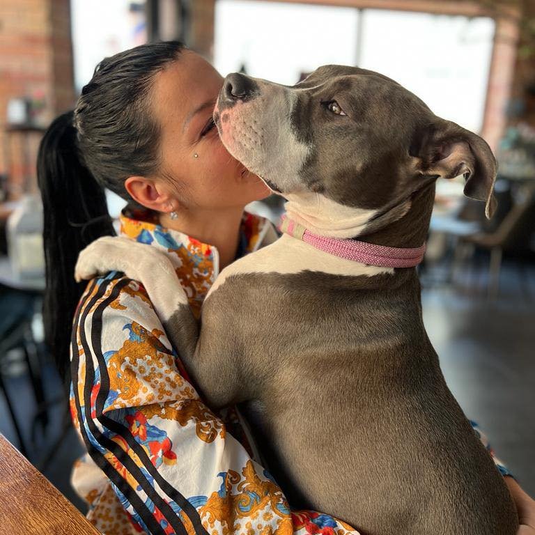 Suzi Pu - recenze rezervačního systému rezit